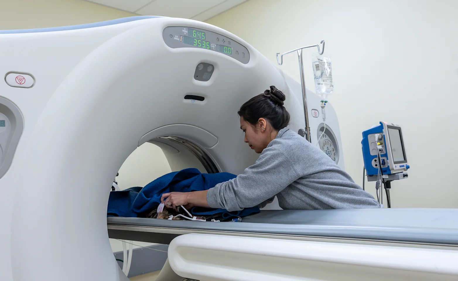 A cat being put under the MRI Machine at SAGE Veterinary Centers A cat being put under the MRI Machine at SAGE Veterinary Centers