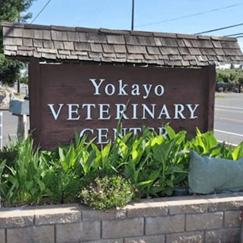 Yokayo Veterinary Center Sign Outside Yokayo Veterinary Center Sign Outside