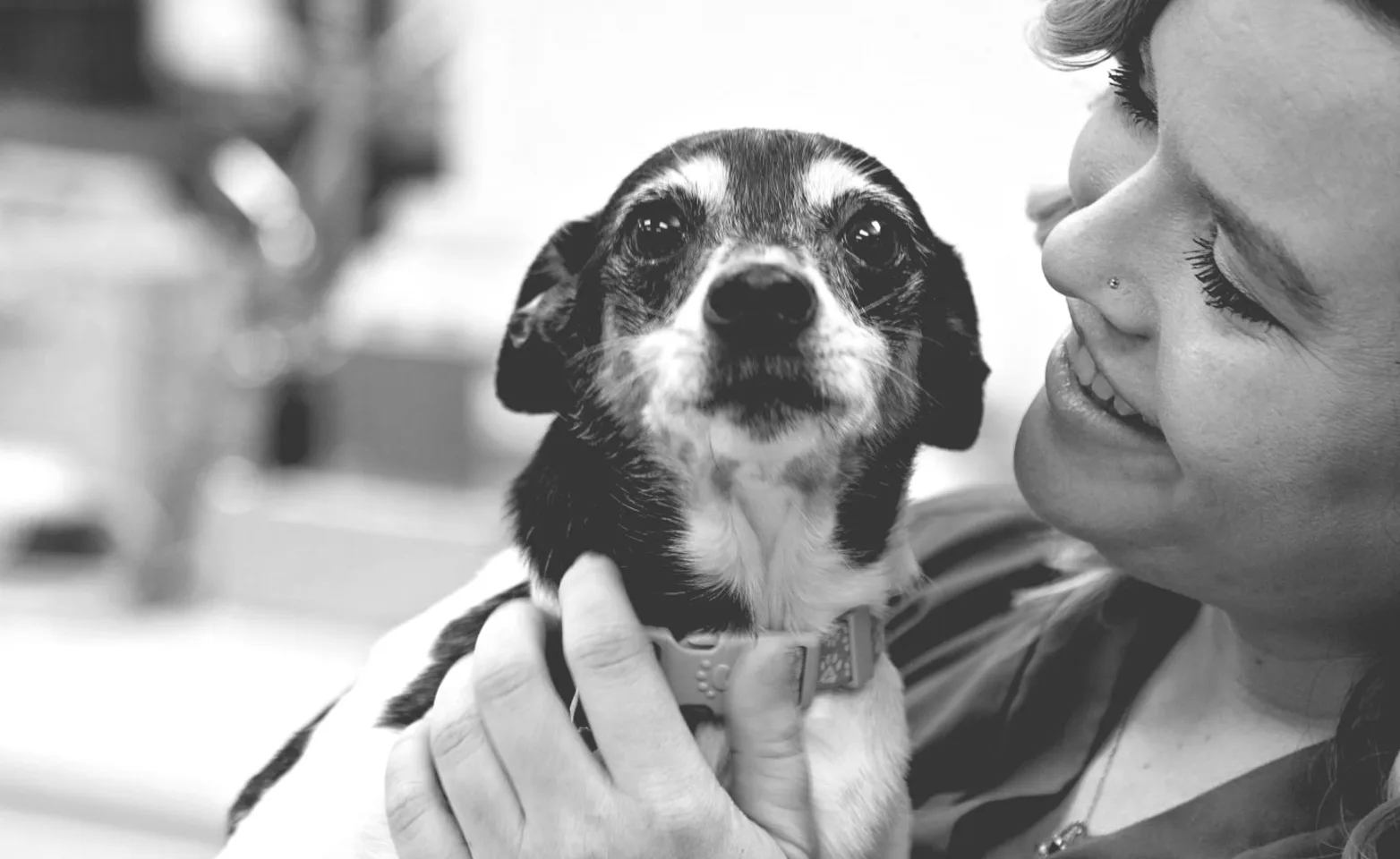 Vet holding dog Vet holding dog