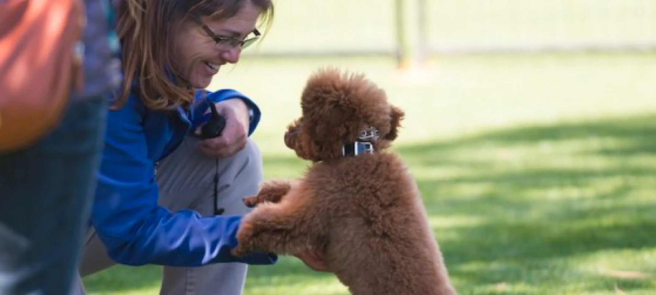 Puppy dog on leash training with trainer Puppy dog on leash training with trainer