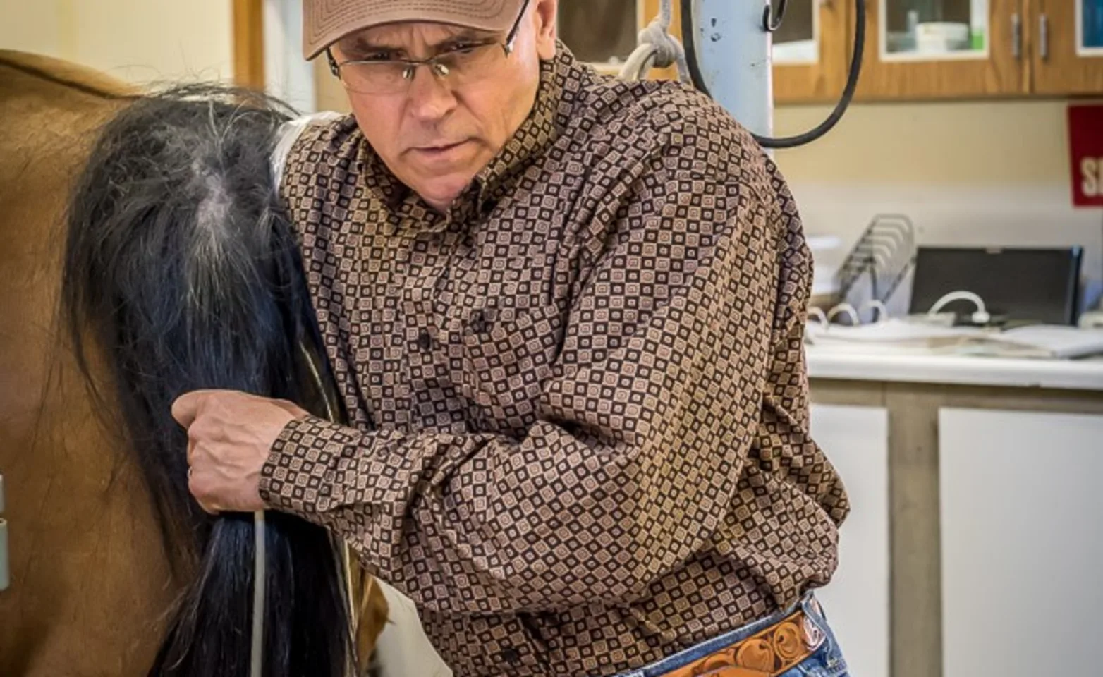 A veterinarian performing a reproductive exam on a mare A veterinarian performing a reproductive exam on a mare
