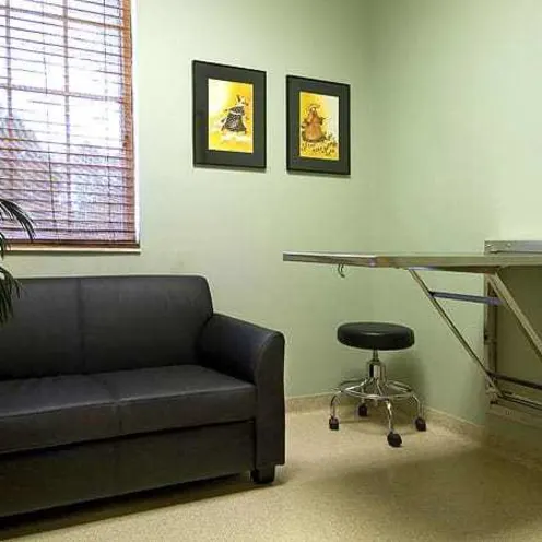 Braden River Animal Hospital Examination Braden River Animal Hospital Examination