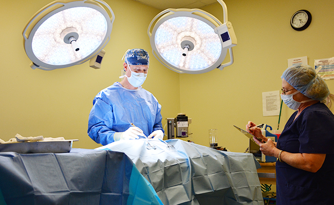 Nashville Veterinary Specialists Video