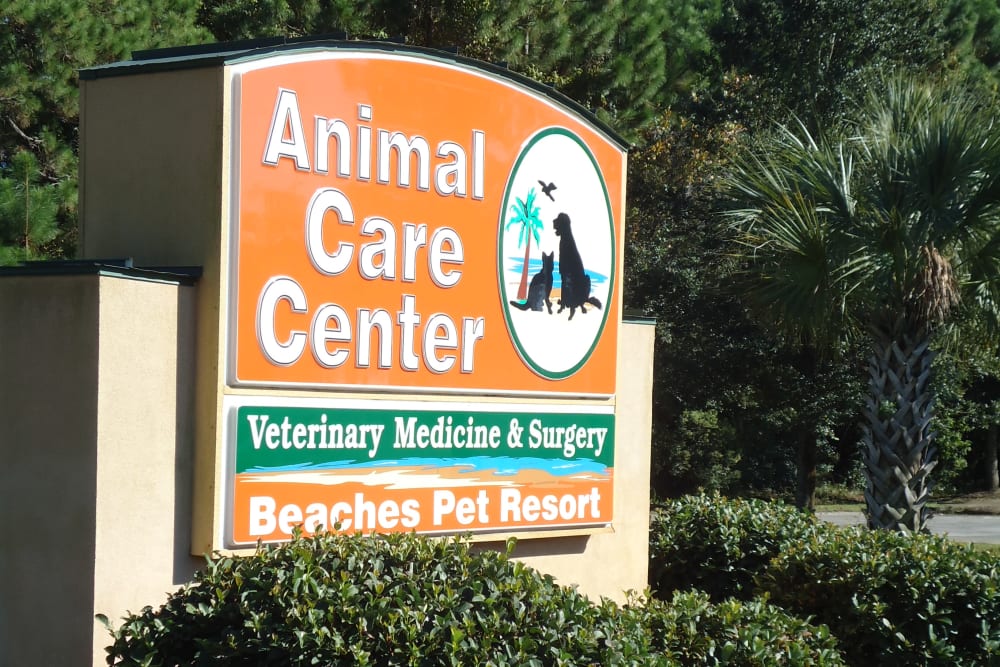 Beach cities pet store hospital