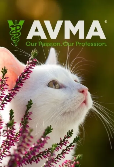 Cat in outdoor setting with purple flowers and AVMA logo