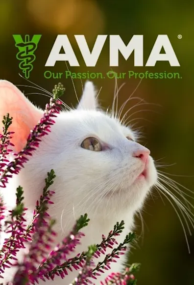 Cat in outdoor setting with purple flowers and AVMA logo Cat in outdoor setting with purple flowers and AVMA logo