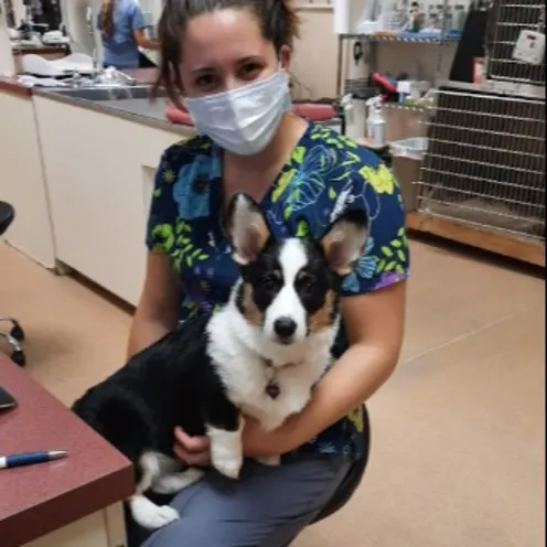 Team Member with a Corgi in Her Lap