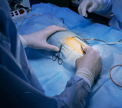 Two Staff About to Start Surgery on Dog