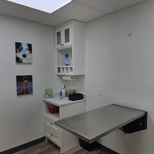 A white room with an examination bed A white room with an examination bed