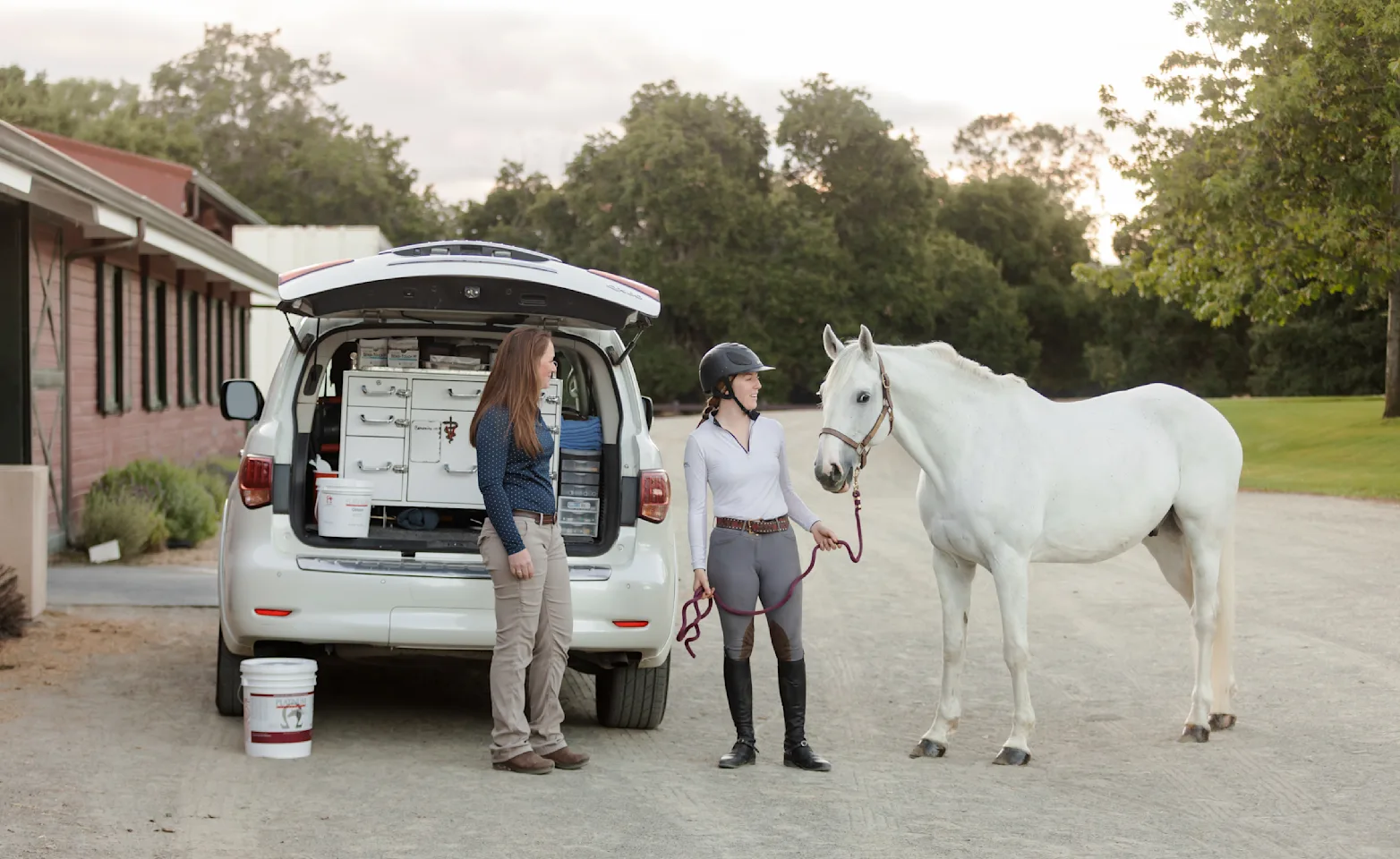 Image of mobile equine care station in a white SUV Image of mobile equine care station in a white SUV