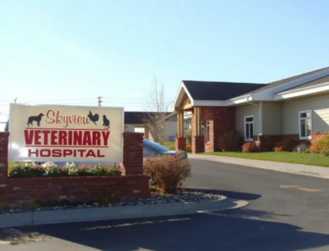Sign of Skyview Veterinary Hospital