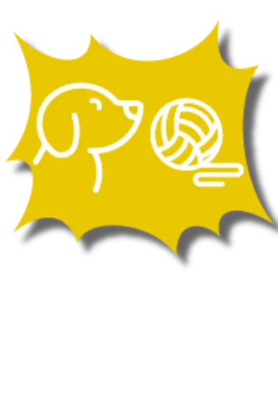 Dog and ball icons on a yellow background Dog and ball icons on a yellow background