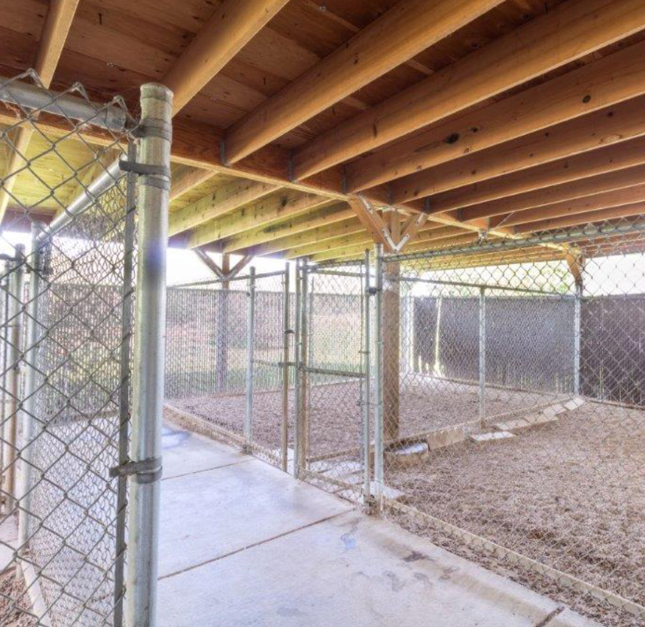 A photo of the outdoor dog runs at Dunes Animal Hospital