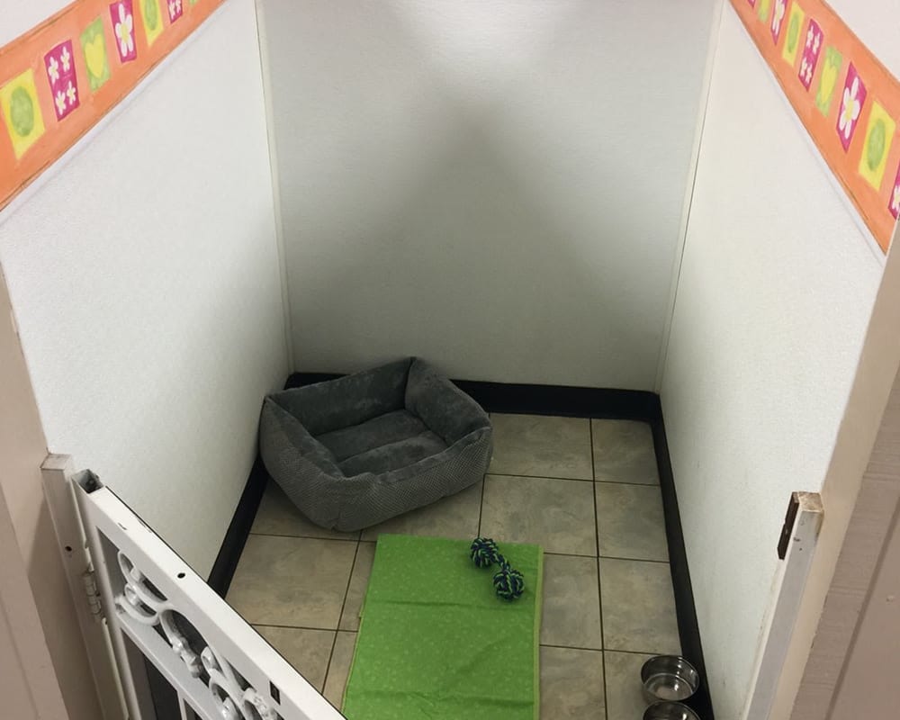 Dog kennel at University Pet Resort