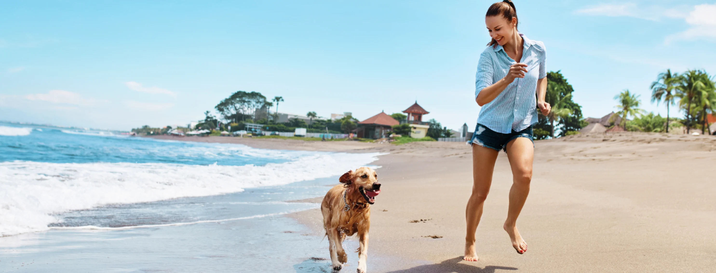 Women and dog running on the beach with waves