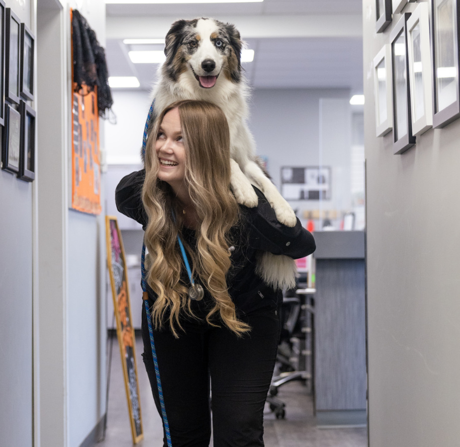 Female staff member holding a dog on her back