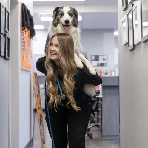 Female staff member holding a dog on her back