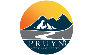 Pruyn Veterinary Hospital Logo
