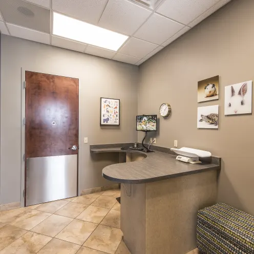 Hillside Animal Hospital Exam Room 2 is smaller with a cushioned bench, mounted tv on the wall and doctor's desk area to check you in.