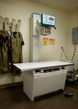 The Center for Bird and Exotic Medicine Exam Table