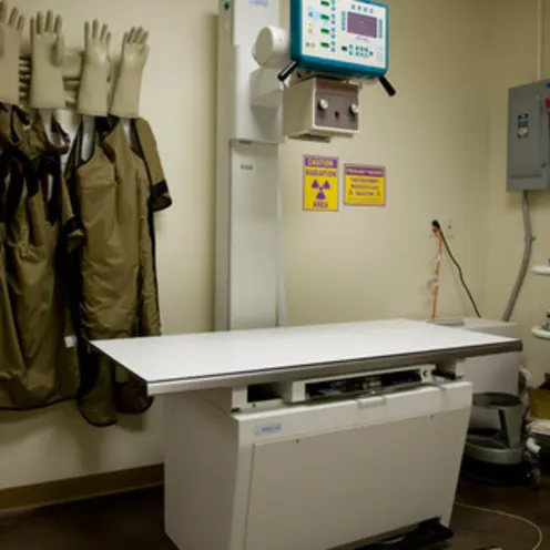 The Center for Bird and Exotic Medicine Exam Table