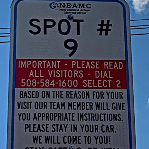 Numbered Parking Spots for covid curbside treatment at Westbridge Veterinary Referral Hospital Numbered Parking Spots for covid curbside treatment at Westbridge Veterinary Referral Hospital