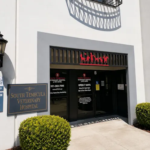 Building entrance of South Temecula Veterinary Hospital. Building entrance of South Temecula Veterinary Hospital.