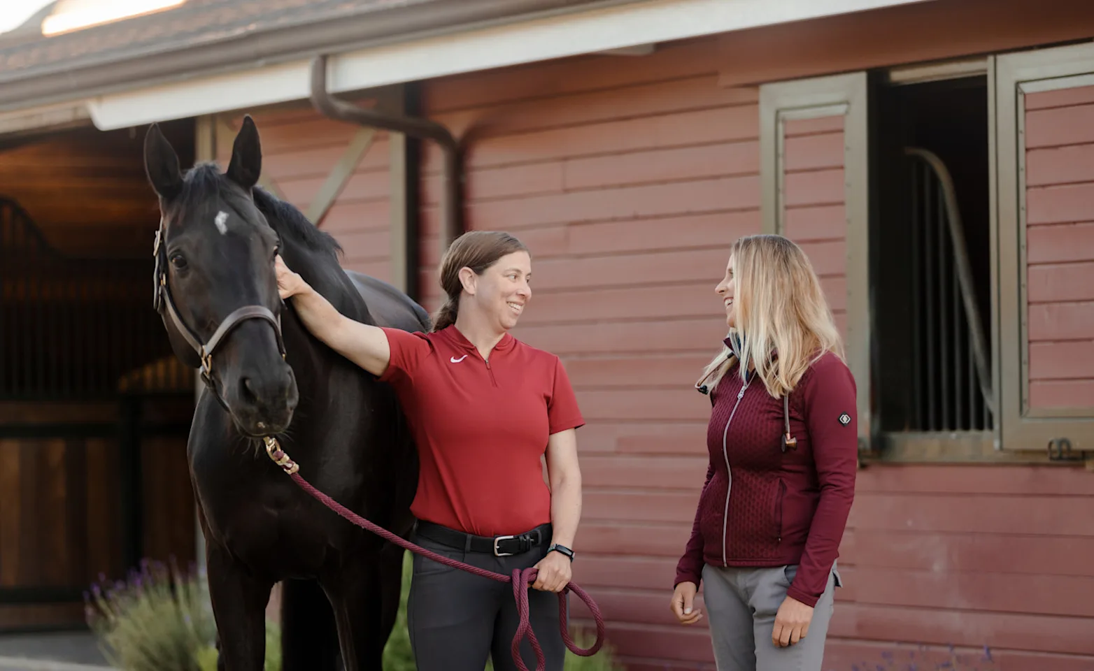 Veterinarian with client horse at barn Veterinarian with client horse at barn