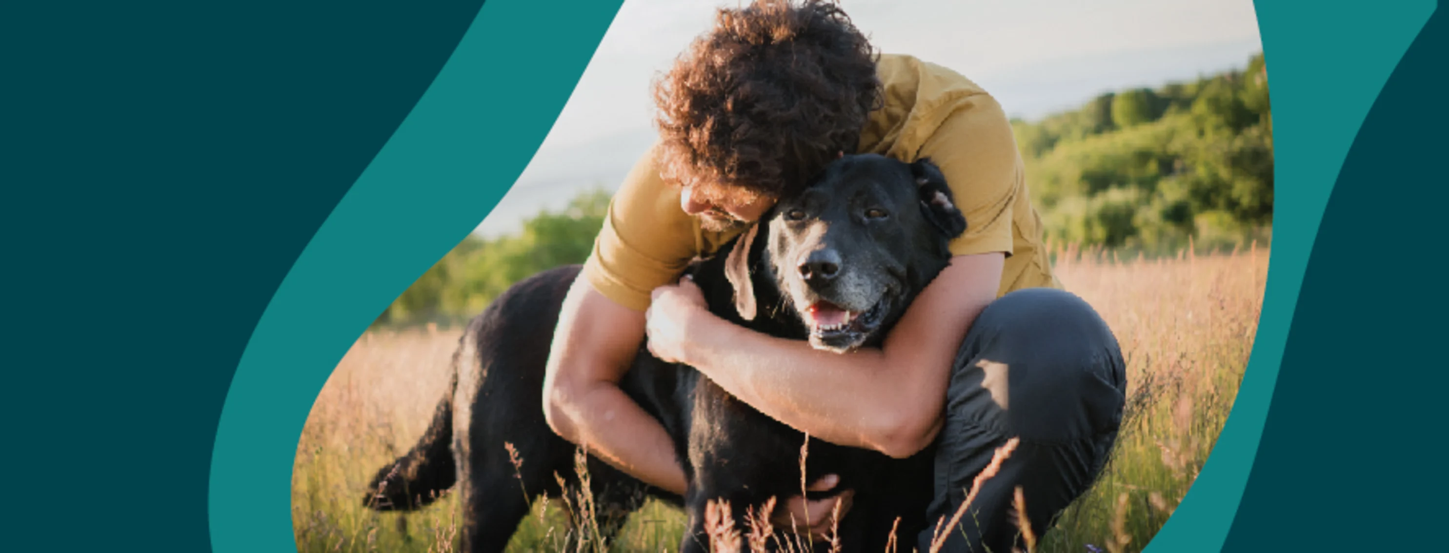 Man hugging happy dog in field Man hugging happy dog in field