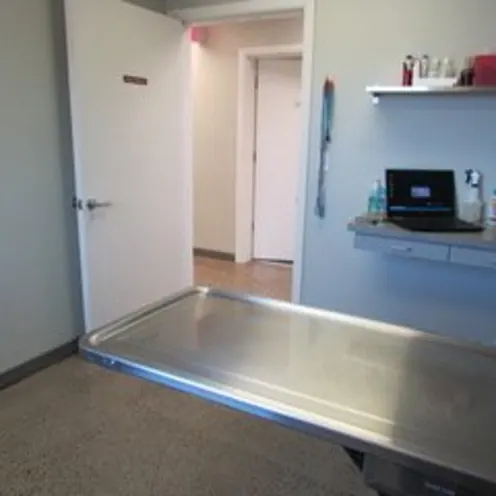 Exam room with metal table at Sequoia & Woodburn Veterinary Clinics 