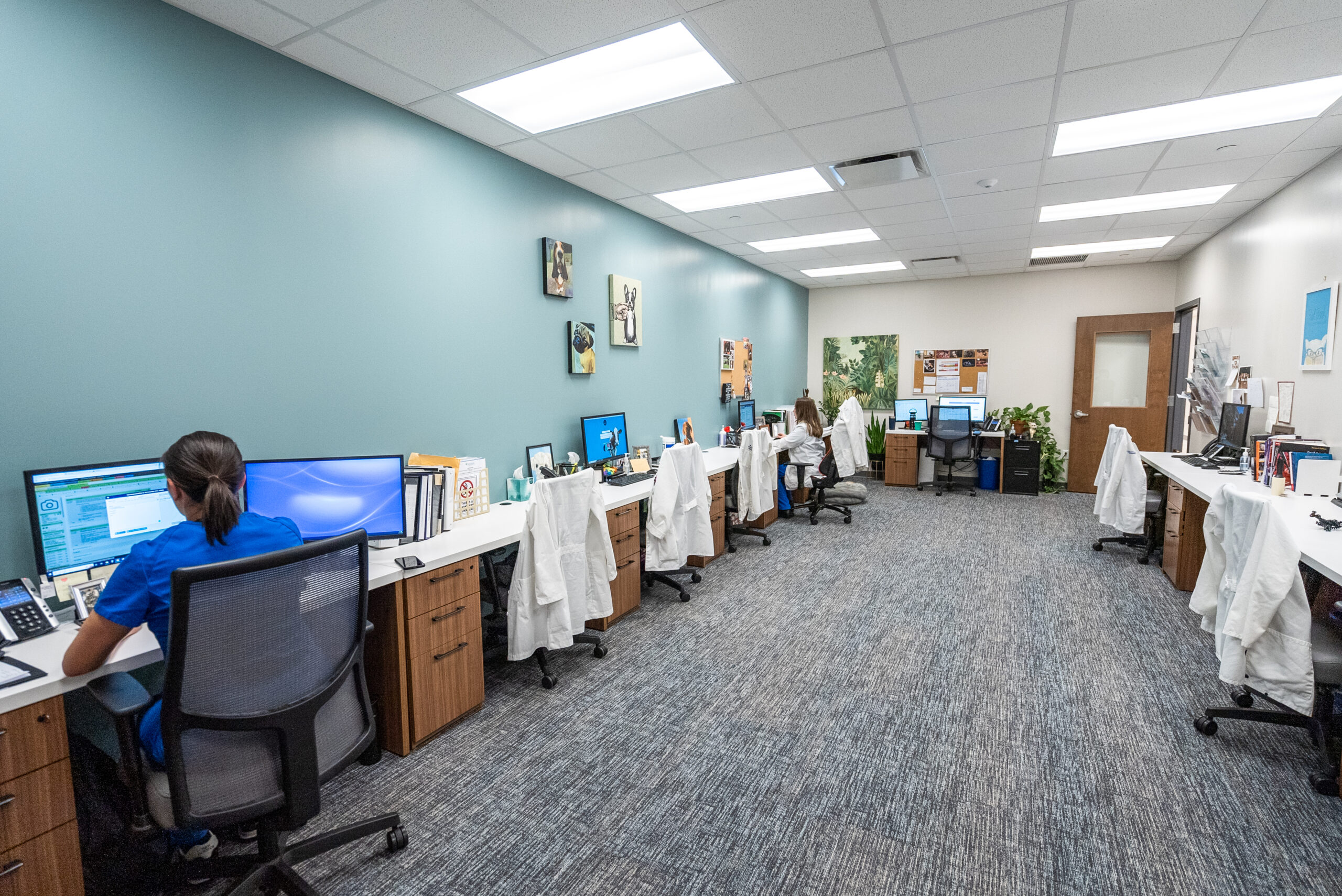 Red Bank Veterinary Hospital Hillsborough facility