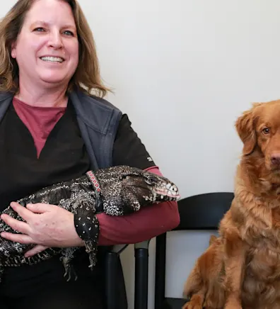 Jamie Klein Jamie Klein