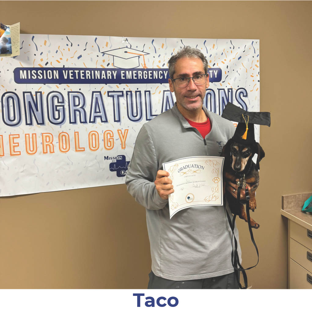 Taco the dog with Neurology Graduate Hall of Fame certificate