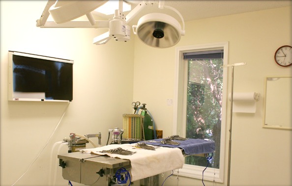 AVA Surgical Suite