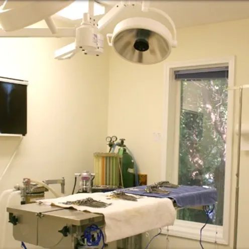 Surgical Suite AVA Surgical Suite