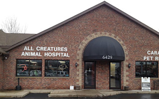 About Us | All Creatures Animal Hospital
