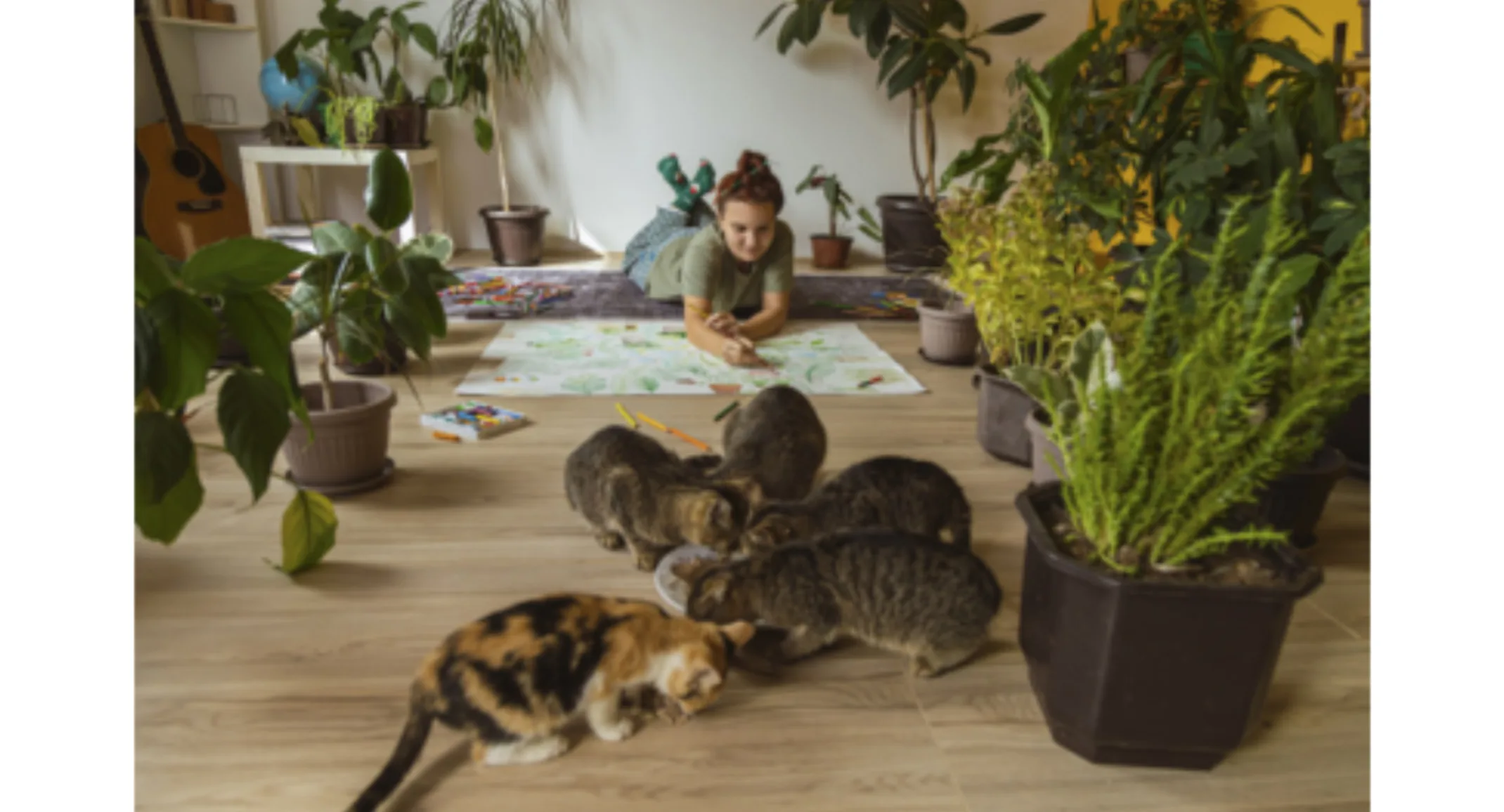 A girl drawing on the floor at home, next to her 5 cats