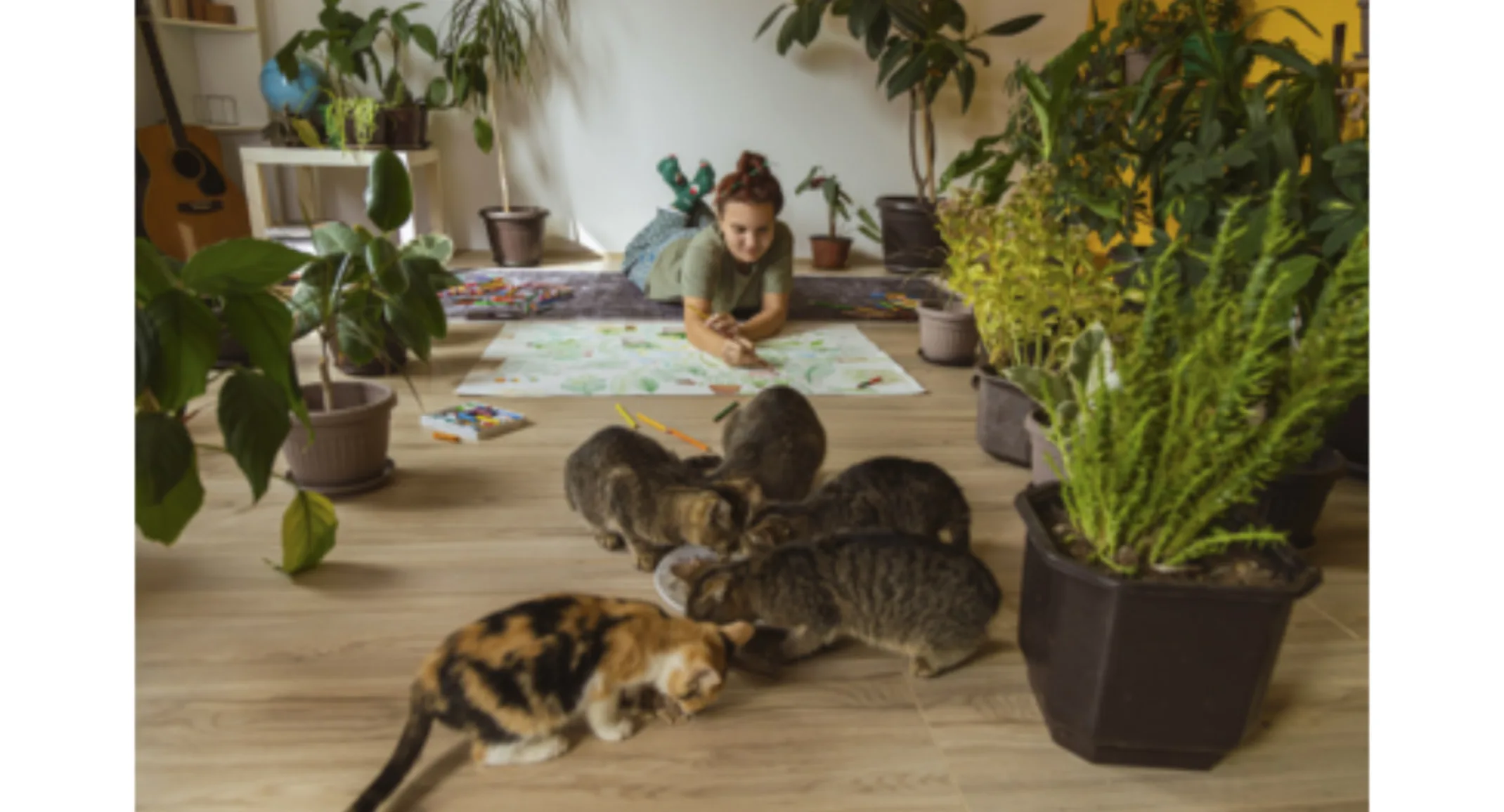 A girl drawing on the floor at home, next to her 5 cats A girl drawing on the floor at home, next to her 5 cats