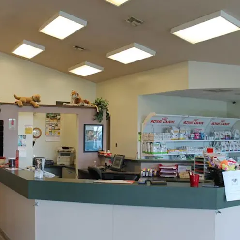 Stateline Hillcrest Small Animal Hospital Front Counter Stateline Hillcrest Small Animal Hospital Front Counter