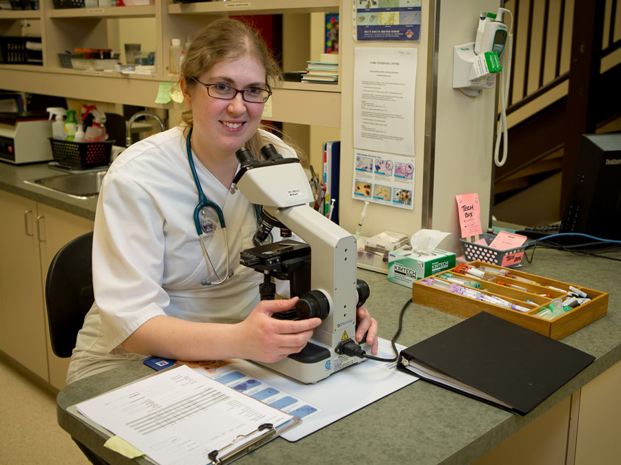 Park Veterinary Centre Lab
