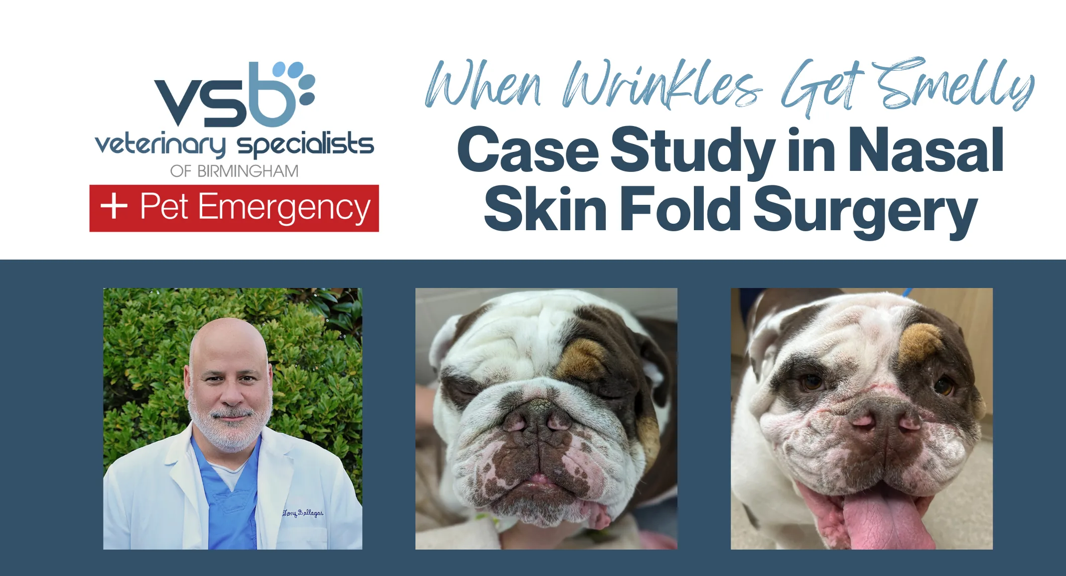 When Wrinkles Get Smelly: Case Study in Nasal Skin Fold Surgery at Veterinary Specialists of Birmingham When Wrinkles Get Smelly: Case Study in Nasal Skin Fold Surgery at Veterinary Specialists of Birmingham