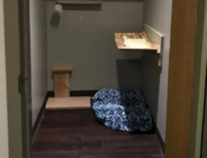 Kitty Loft Kitty Loft