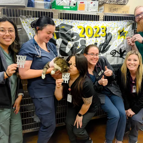 Employees posing with a cat and a sign that reads "2023 Grad"