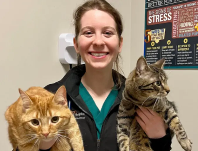 Hopkinton Staff member holding an orange and grey cat Hopkinton Staff member holding an orange and grey cat