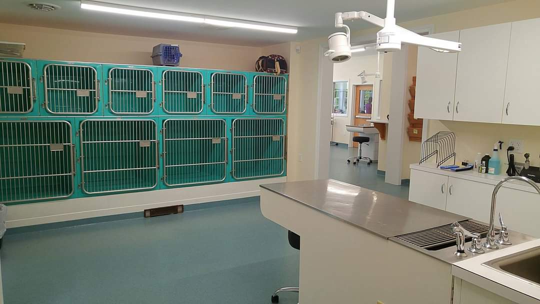 Exam table with kennels.