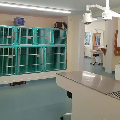 Exam table with kennels.