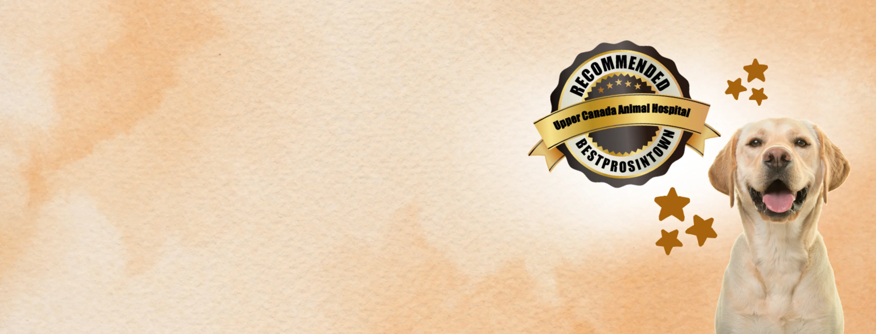Best Business Award from BestProsInTown Best Business Award from BestProsInTown