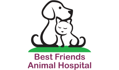 Best Friends Animal Hospital - Chambersburg Logo