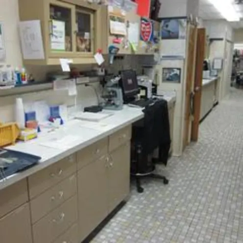 Florissant Animal Hospital Lab Area