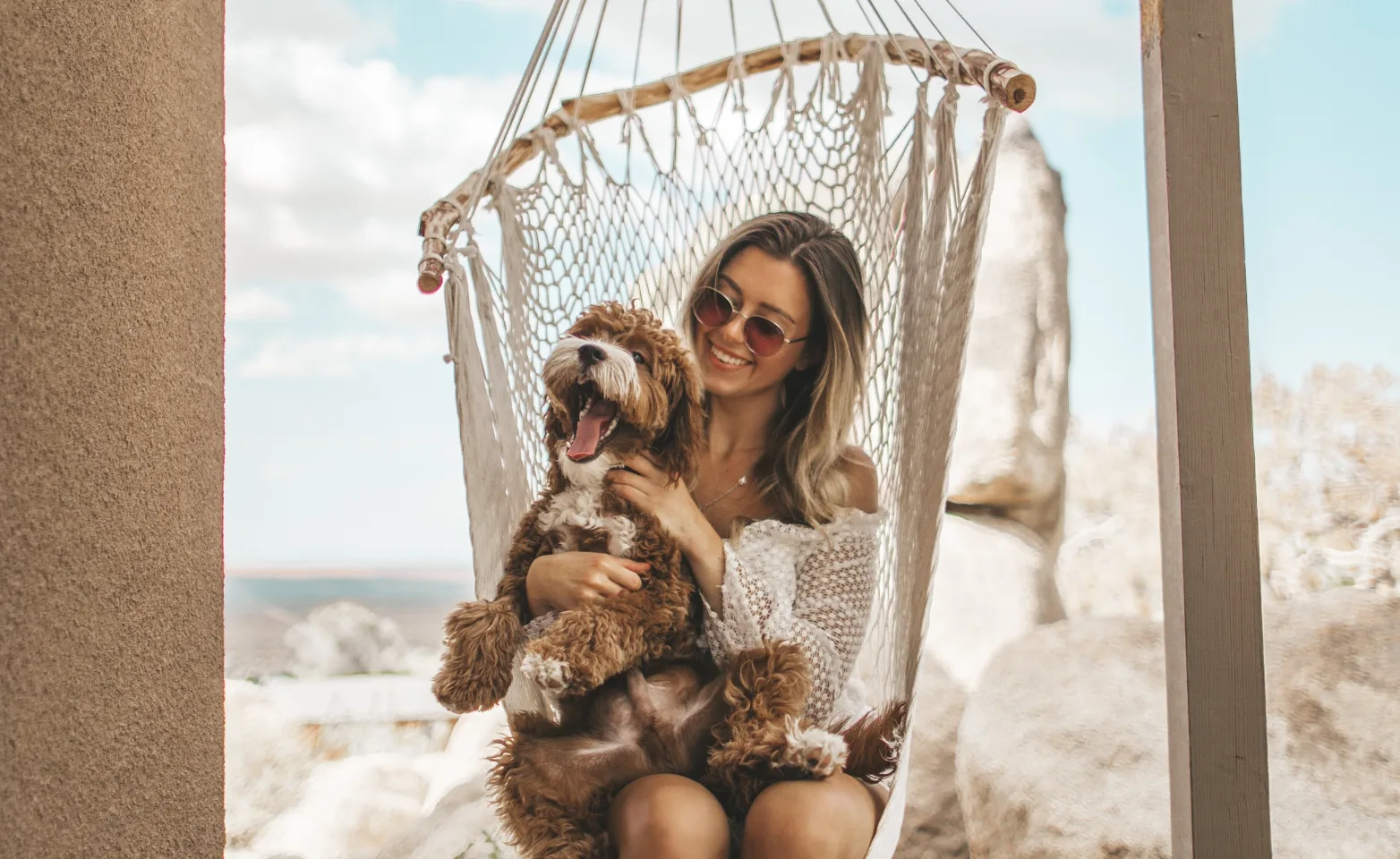 Dog and woman swinging on a swing. 